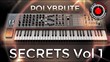 GeoSynths Secrets Volume 1 Sound Set for Arturia Polybrute