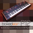 Boxed Ear P12 Electronica Sound Bank for Prophet 12