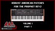 Robust American Patch Bank for Rev2 - Volume I