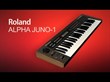 Analog Audio Soundset for Roland Alpha Juno