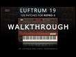 Luftrum 19 Soundset for u-He Repro-5