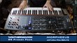 TjontheRoad's Morpheeus Preset Pack for Polybrute