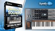 Davide Puxeddu's Famous Sounds Volume 1.5 for Arturia Polybrute