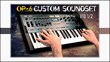 A Very Custom OP-6 Soundset by Jexus