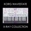 XRAY Collection for Korg Wavestate